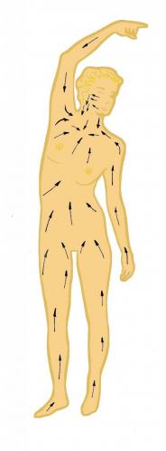 Femme sens drainage4 1