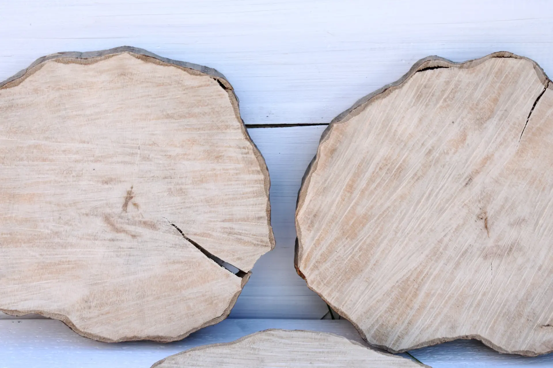 Tranches de bois de charme