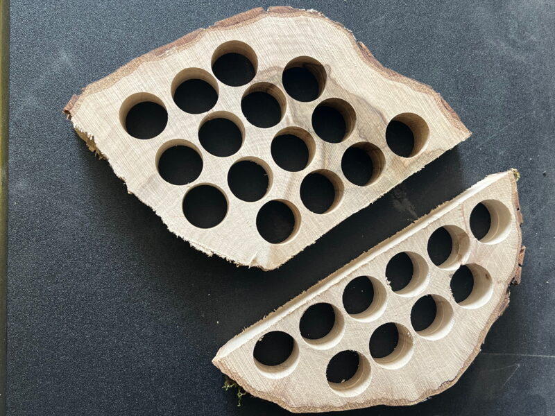 Tranche de charme percée en sortie de fabrication. Elle ressemble à une grille.