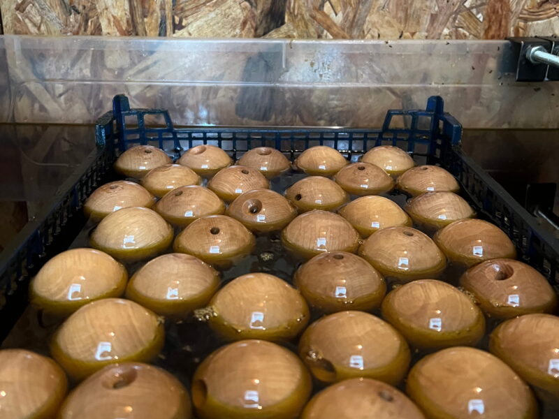 Boules de bois de charme qui baignent dans l'huile de lin brute Ecocert